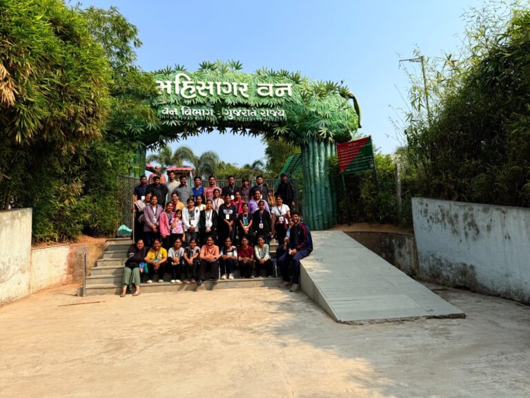 NSS (11)